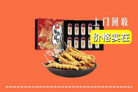 高明区回收冬虫夏草